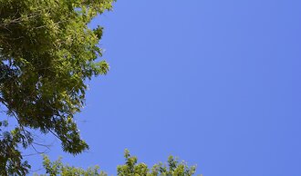 Hotel Real São Lourenço