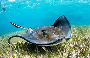 Ramon's Village Resort