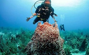 Ramon's Village Resort