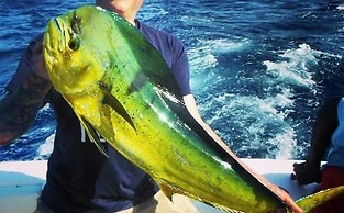 Ramon's Village Resort