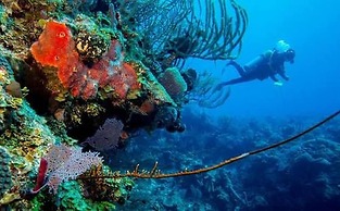 Ramon's Village Resort