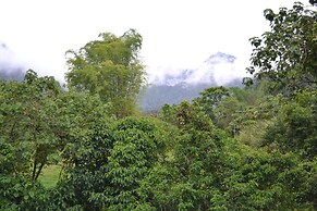 Mindo Green House