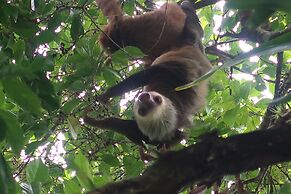 Hotel Secreto La Fortuna