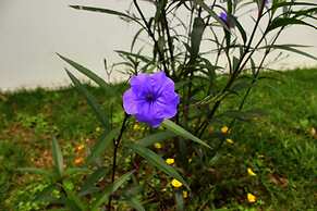 Hotel Secreto La Fortuna