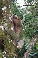 Hotel Secreto La Fortuna