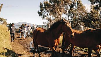 Hacienda El Porvenir