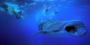 Liberty Guest House Maldives