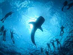 Liberty Guest House Maldives