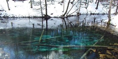 Kiyosato Ihatov Hostel