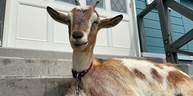 Kiyosato Ihatov Hostel