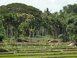 Jetwing Kaduruketha