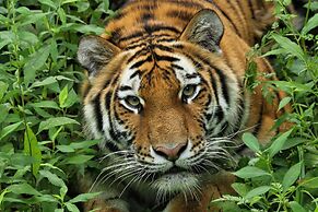 Holiday Inn Express & Suites Eagan - Minneapolis Area by IHG