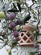 Dar El Yasmine Tunis