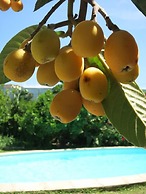 Dar El Yasmine Tunis