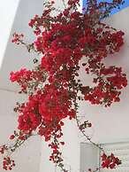 Dar El Yasmine Tunis