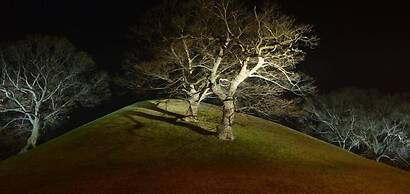 Apple House Mini Hotel