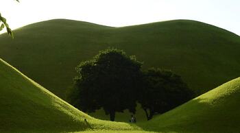 Apple House Mini Hotel