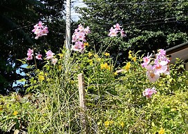 Rising Sun Guesthouse