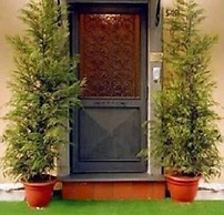 B&B La Storia di Napoli