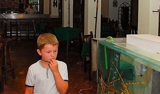 Apartamentos del Rey