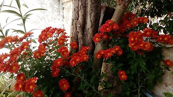 Arhontiko Kordopati Traditional Guesthouse