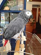 Daskalogiannis Hotel