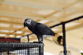 Daskalogiannis Hotel