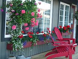 Driftwood by the Sea Inn and RV Resort