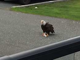 Driftwood by the Sea Inn and RV Resort