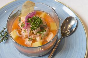 Catalonia Santo Domingo