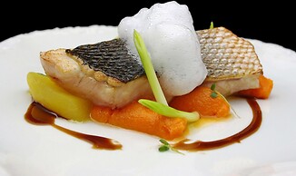 Catalonia Santo Domingo