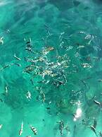 Jungle Koh Kood Resort