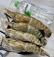 Jungle Koh Kood Resort