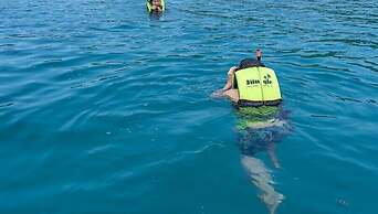 Jungle Koh Kood Resort