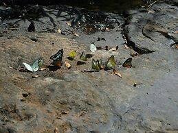 Jungle Koh Kood Resort