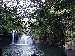 Jungle Koh Kood Resort