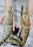 Jungle Koh Kood Resort