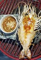 Jungle Koh Kood Resort