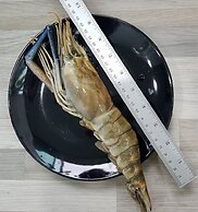 Jungle Koh Kood Resort