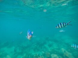 Jungle Koh Kood Resort