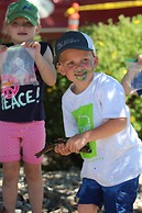 Fairfield Inn & Suites Afton Star Valley