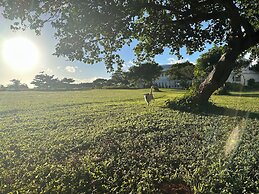 Kenting Comic B&B