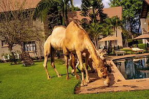 Weru Weru River Lodge