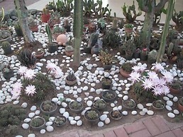 Club Hotel Rama - All Inclusive