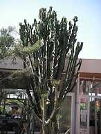 Club Hotel Rama - All Inclusive