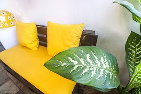 Apartamentos Pipa Centro