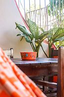 Apartamentos Pipa Centro