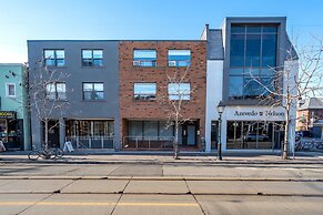 Modern Basement Apartment Close to Little Italy
