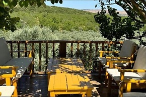 Casa Del Olivia