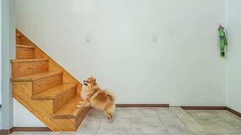 Gapyeong Funny Mongmong Galaxy House